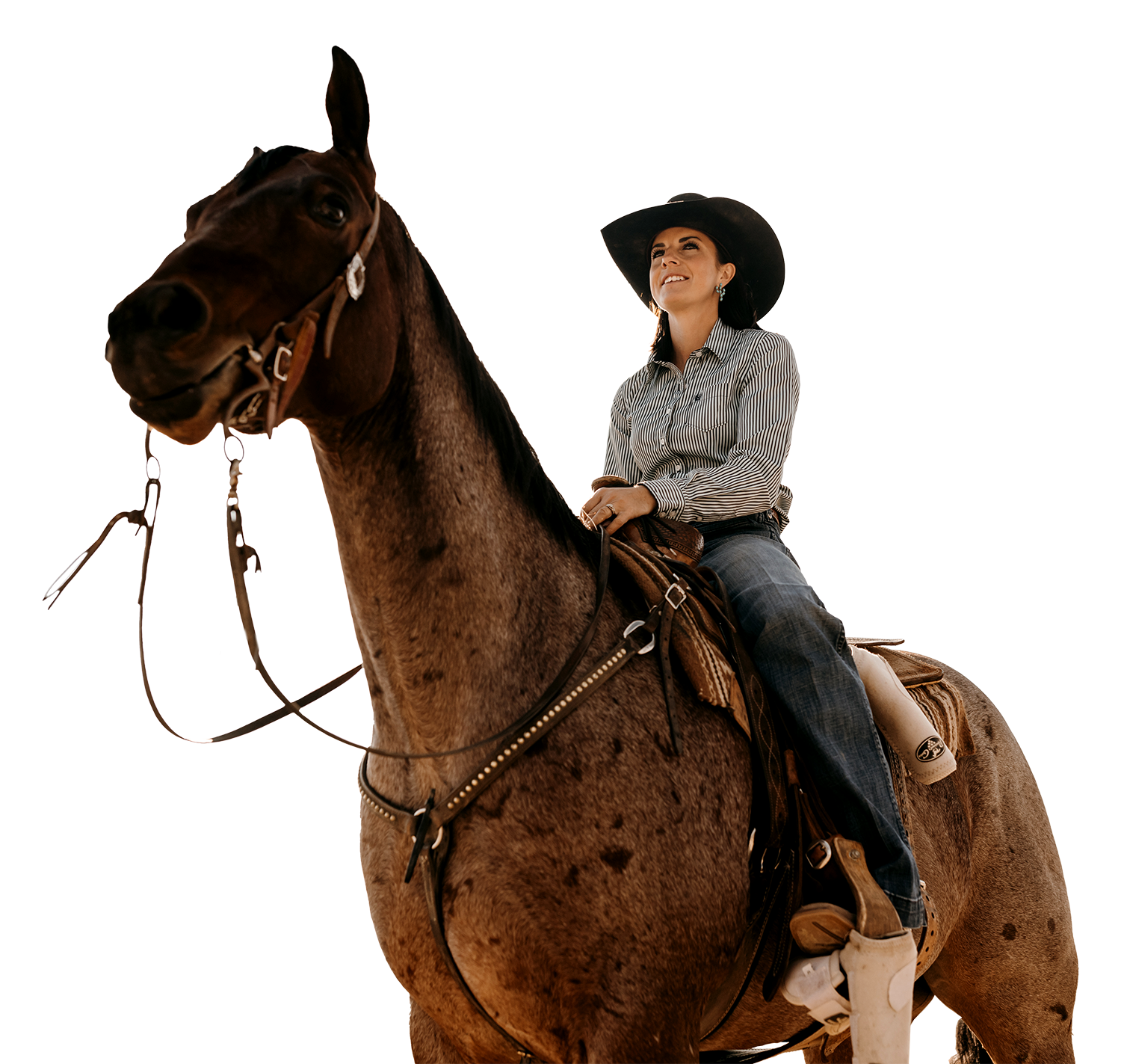 About Peterson Performance Horses